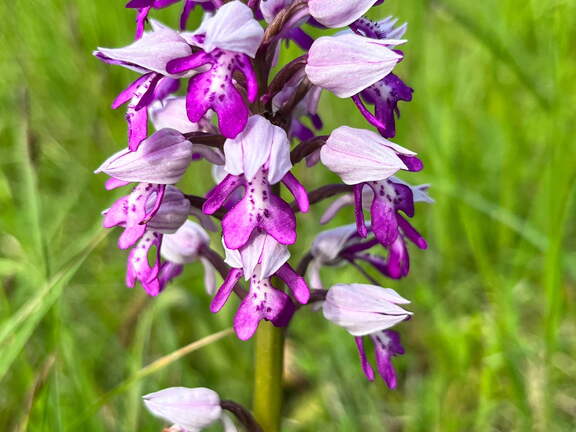 22-05-08 11-17-04 0767